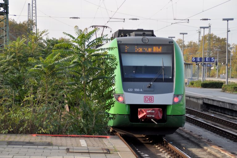 VRR: Kann man mit dem Schokoticket andere Personen mitnehmen?